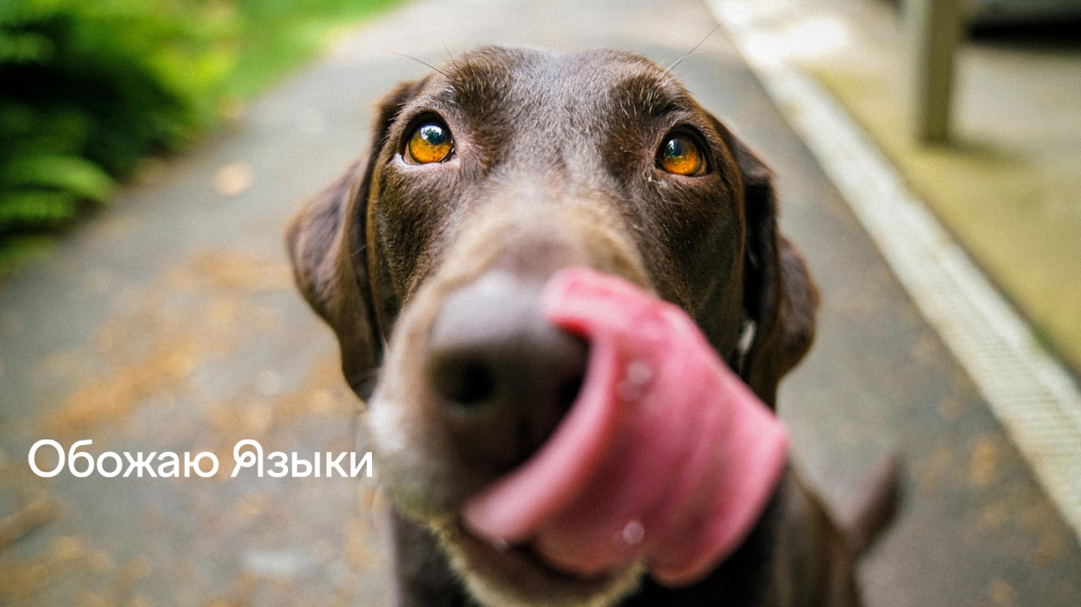 Обожаю Языки