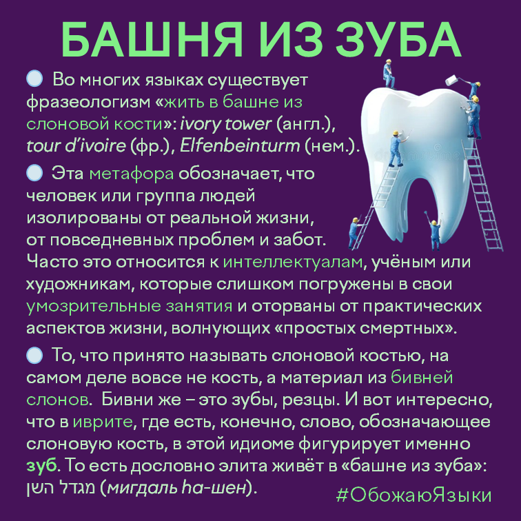 Башня из зуба – идиома «жить в башне из слоновой кости» на иврите, английском, французском и немецком