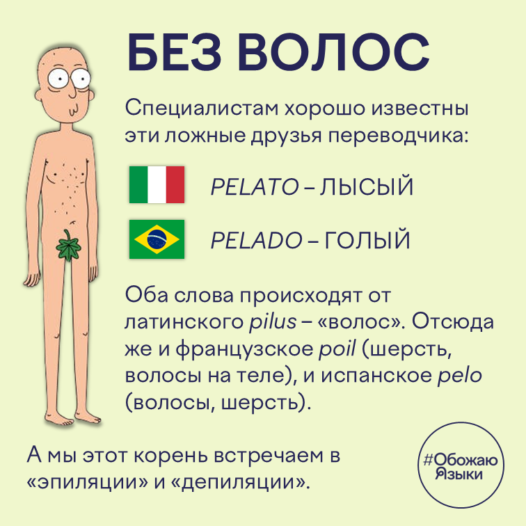 Без волос – ложные друзья переводчика pelato и pelado в итальянском и португальском