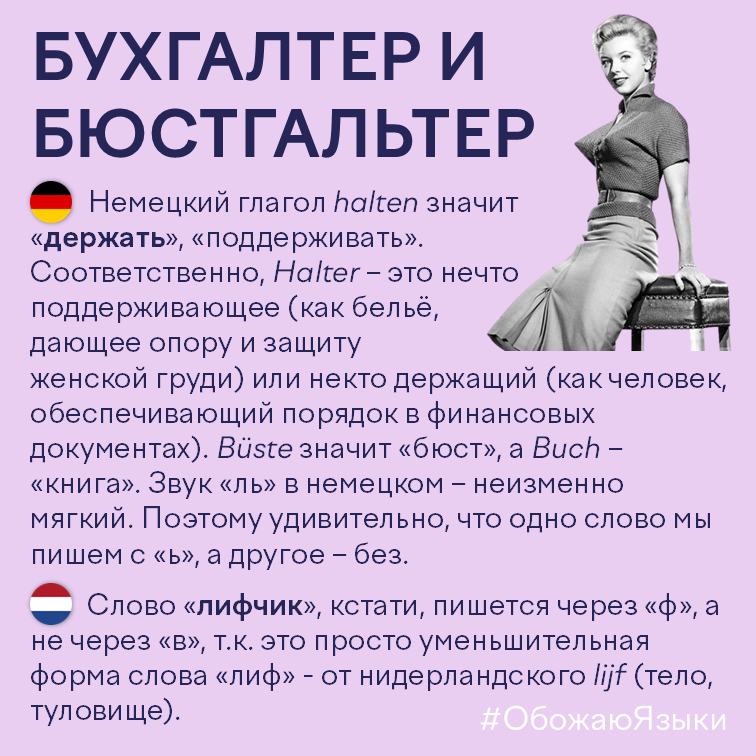 Бухгалтер и бюстгальтер – как связаны два слова от немецкого halten