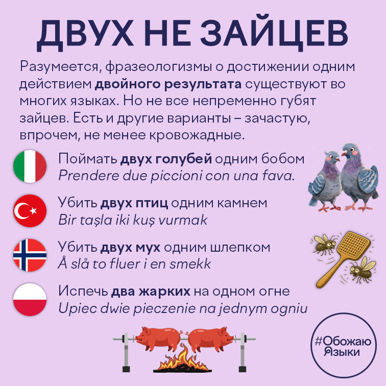 Двух не зайцев — идиомы о двойном результате в разных языках