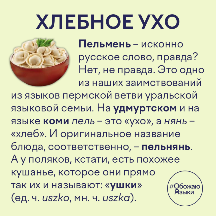Хлебное ухо — откуда взялось слово «пельмень»: коми и удмуртское пельнянь