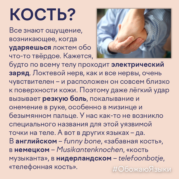 Кость? – как называют чувствительное место у локтя в разных языках