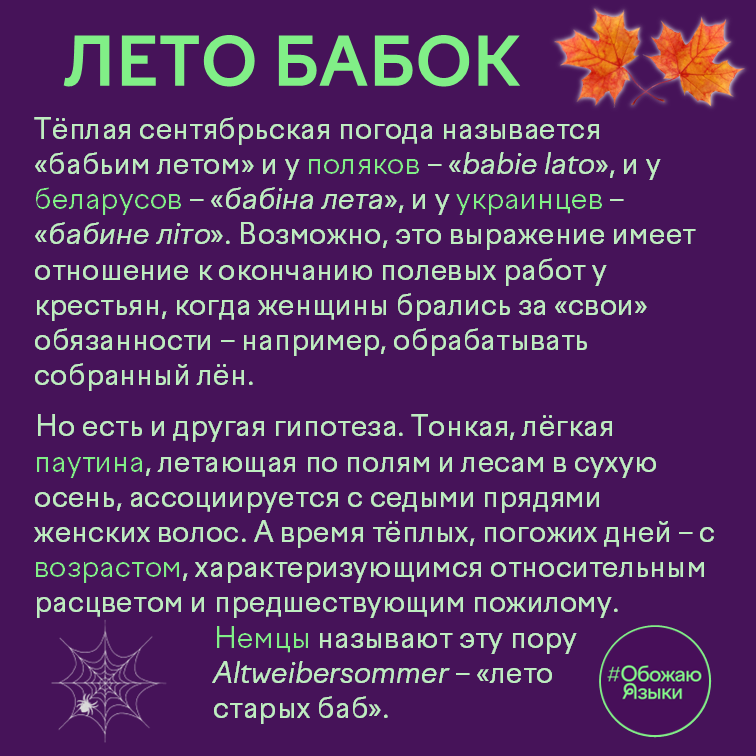 Лето бабок – как «бабье лето» называют в белорусском, немецком, польском и украинском