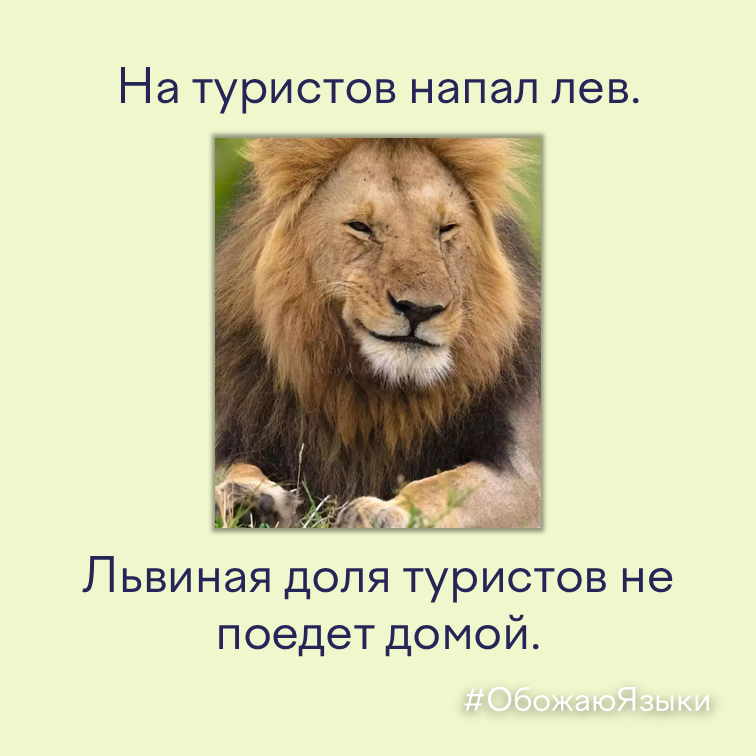 Львиная доля – каламбур про льва, напавшего на туристов
