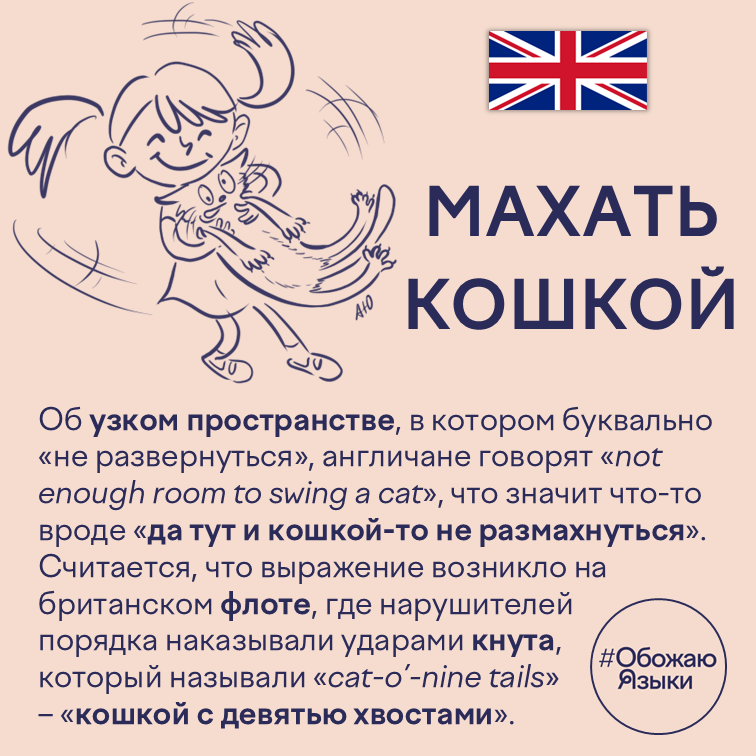 Махать кошкой – английская идиома not enough room to swing a cat