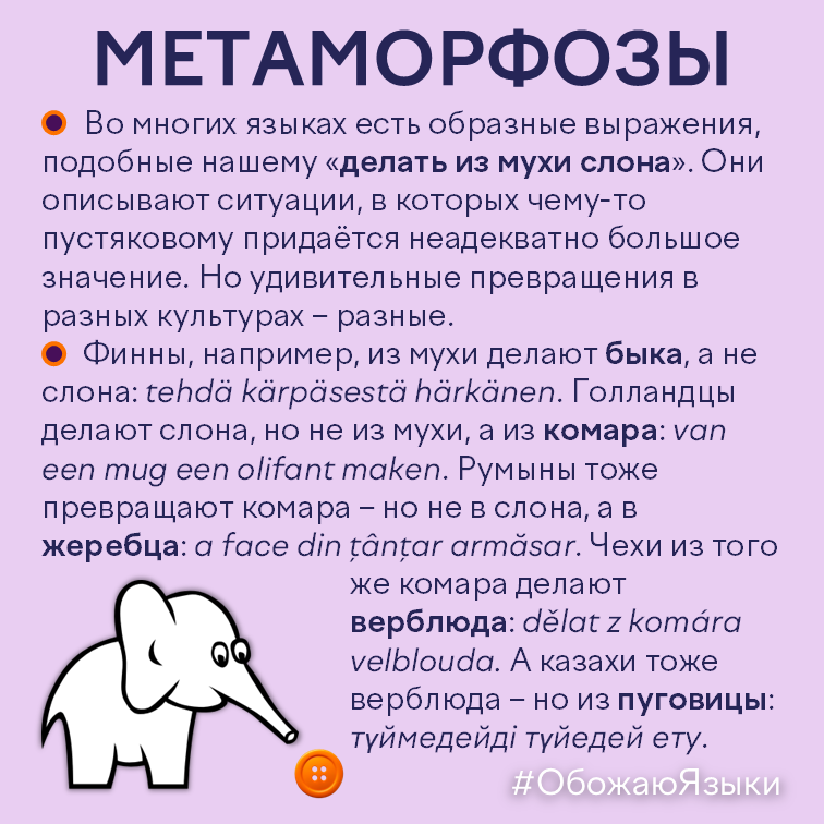 Метаморфозы – идиома «делать из мухи слона» на казахском, нидерландском, финском, чешском и румынском