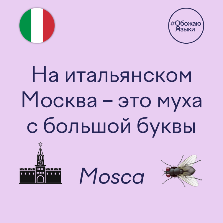 Москва – итальянский омоним «Mosca»: Москва и муха