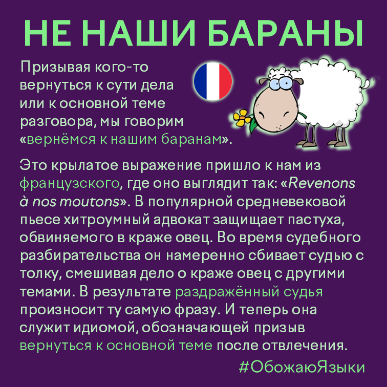 Не наши бараны – происхождение идиомы «вернёмся к нашим баранам» из французского Revenons à nos moutons