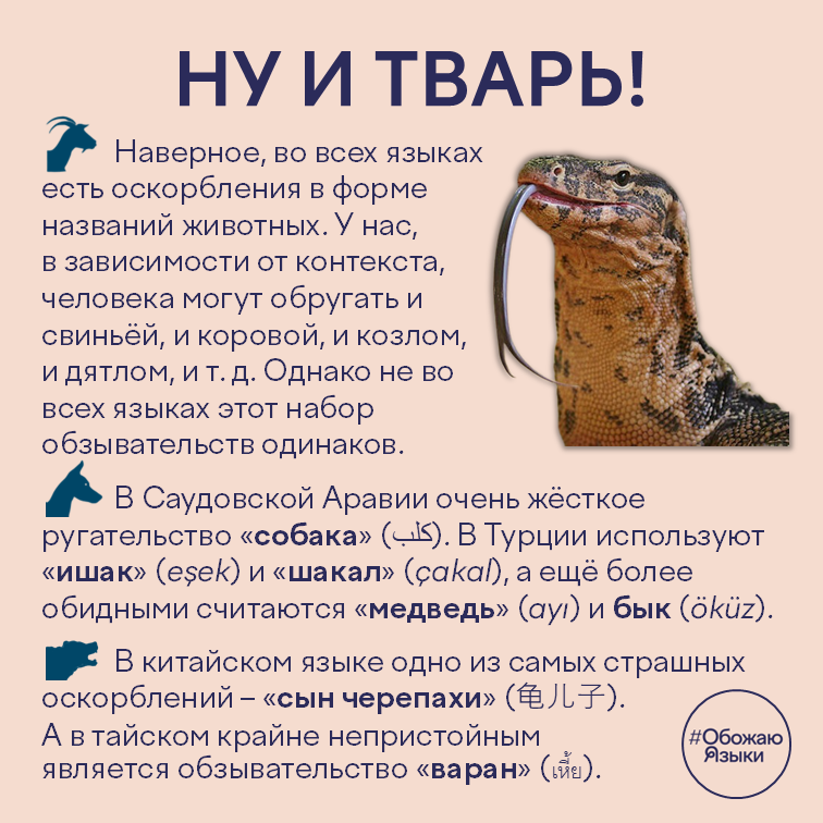 Ну и тварь! – ругательства-названия животных в разных языках