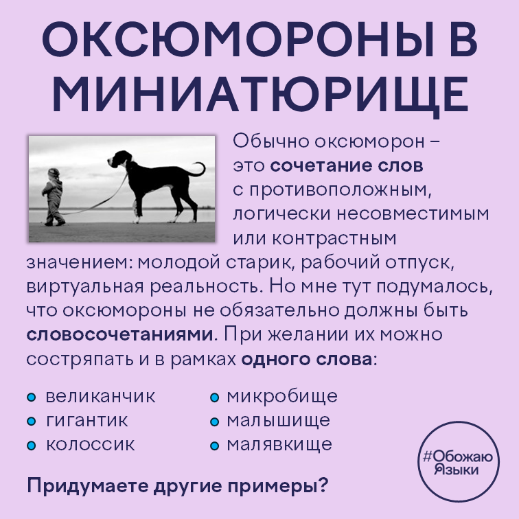 Оксюмороны в миниатюрище – примеры однословных оксюморонов