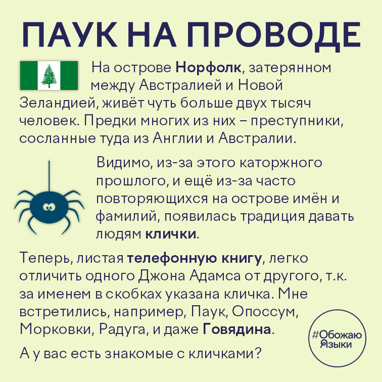 Паук на проводе — традиция кличек на острове Норфолк