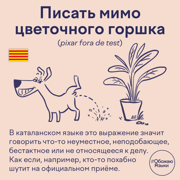 Писать мимо цветочного горшка – каталанская идиома о неуместных и бестактных высказываниях