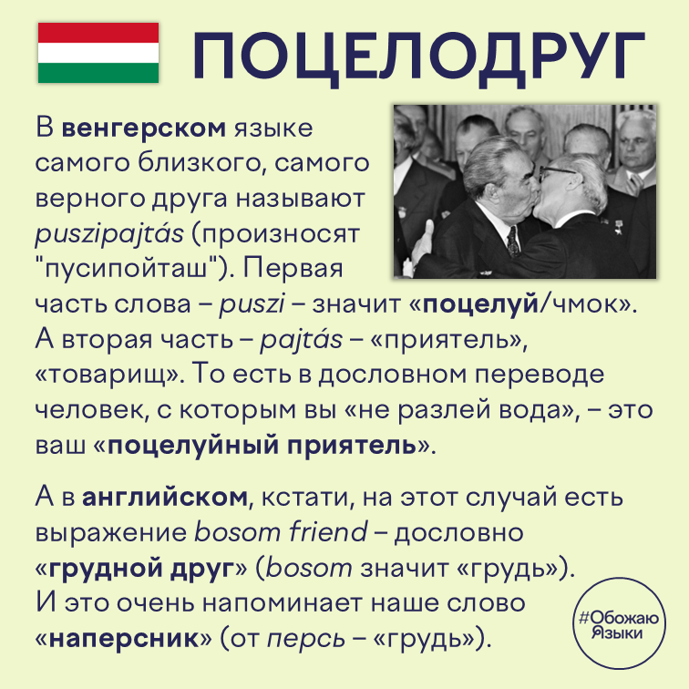 Поцелодруг – венгерское puszipajtás («поцелуйный приятель») и английское bosom friend