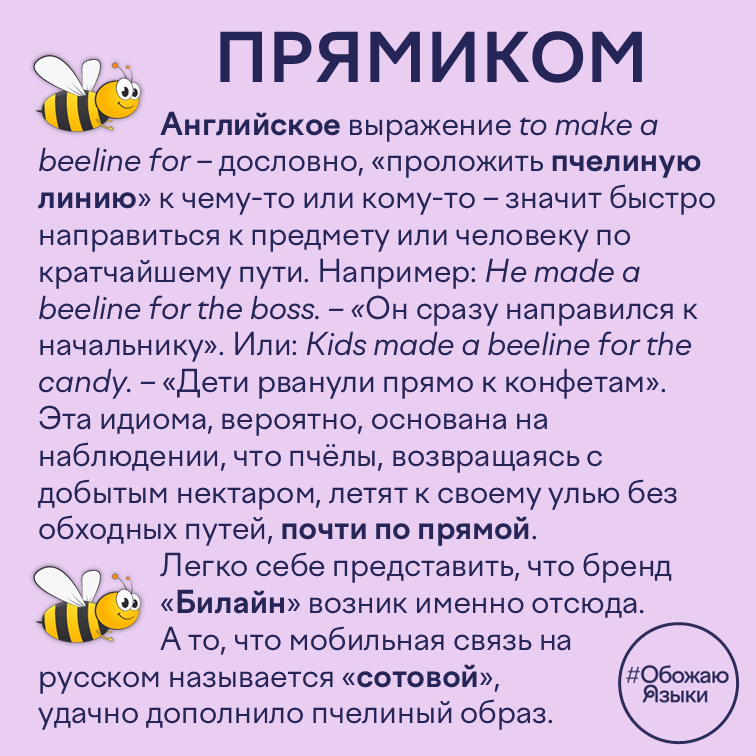 Прямиком — пчелиная линия