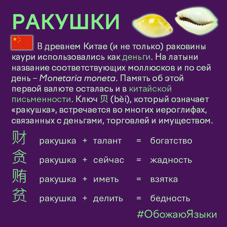 Ракушки — как раковины каури повлияли на китайские иероглифы денег и богатства