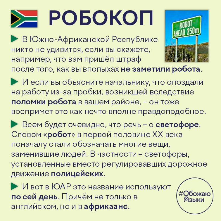 Робокоп – почему в ЮАР светофор называют словом «робот»