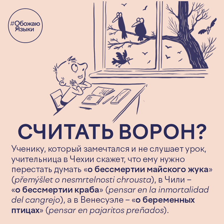 Считать ворон – как в чешском, чилийском и венесуэльском испанском называют витание в облаках на уроке