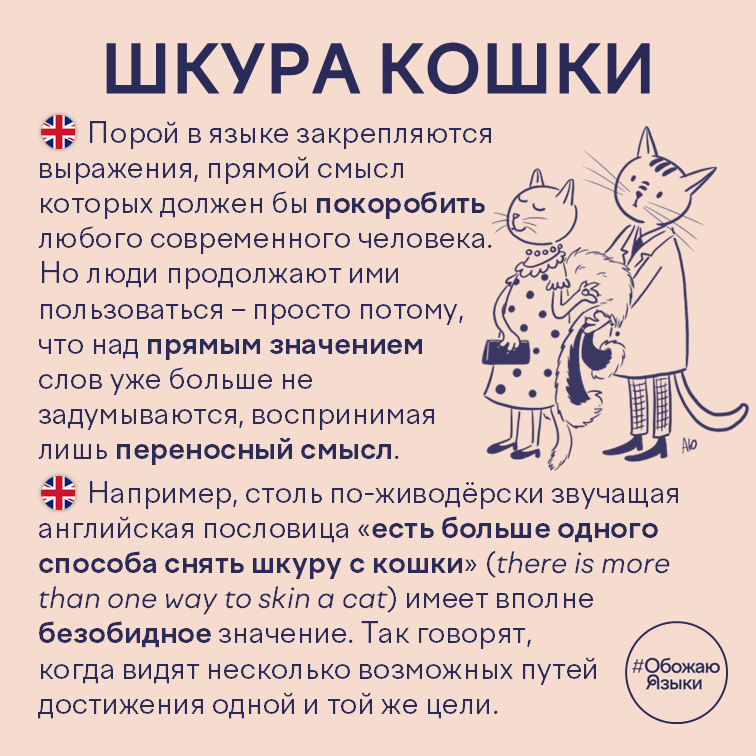 Шкура кошки – английская идиома there is more than one way to skin a cat
