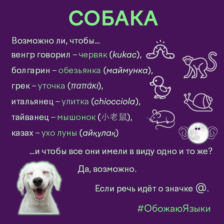 Собака — как в разных языках называют значок @: червяк, обезьянка, уточка, улитка, мышонок, ухо луны
