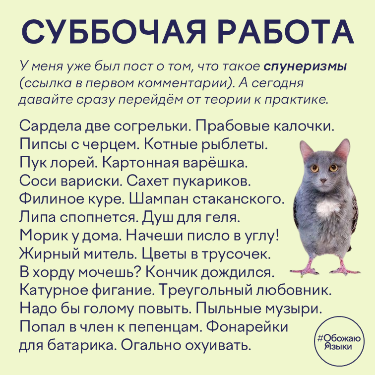 Суббочая работа — подборка спунеризмов