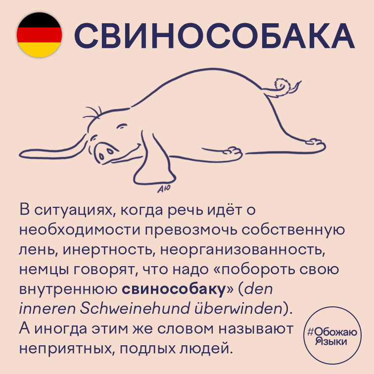 Свинособака — немецкая идиома den inneren Schweinehund überwinden о преодолении лени