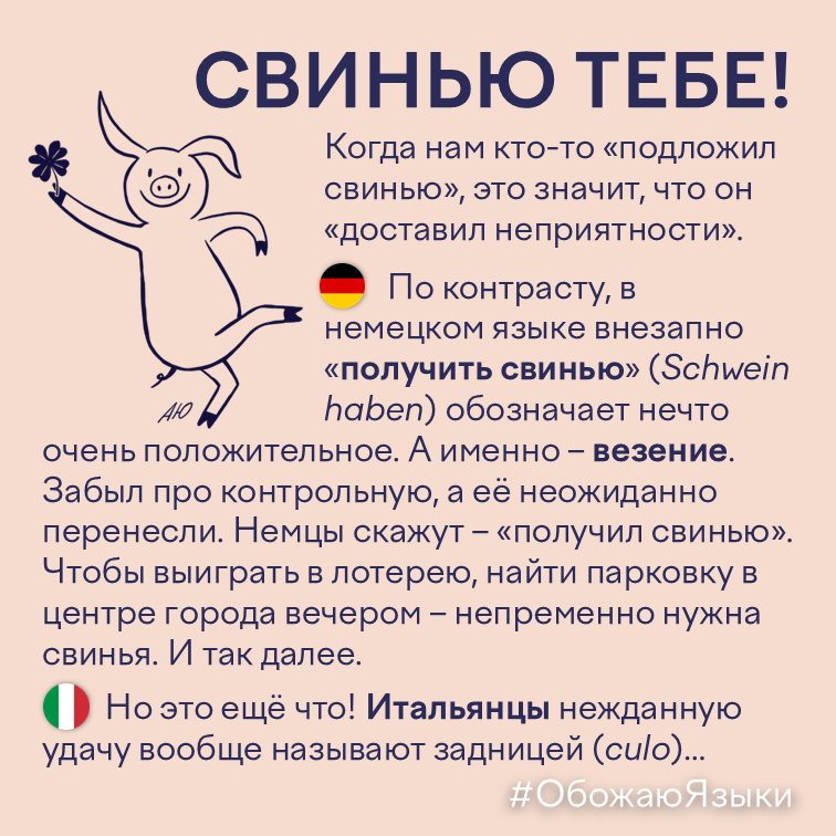 Свинью тебе!