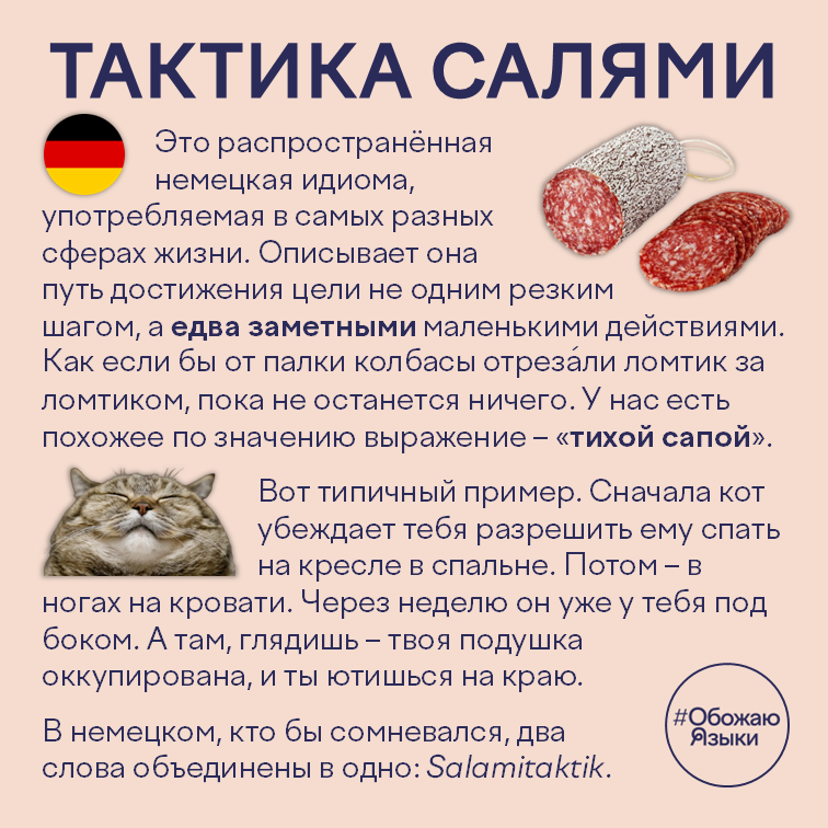 Тактика салями – немецкая идиома Salamitaktik, аналог русского выражения «тихой сапой»
