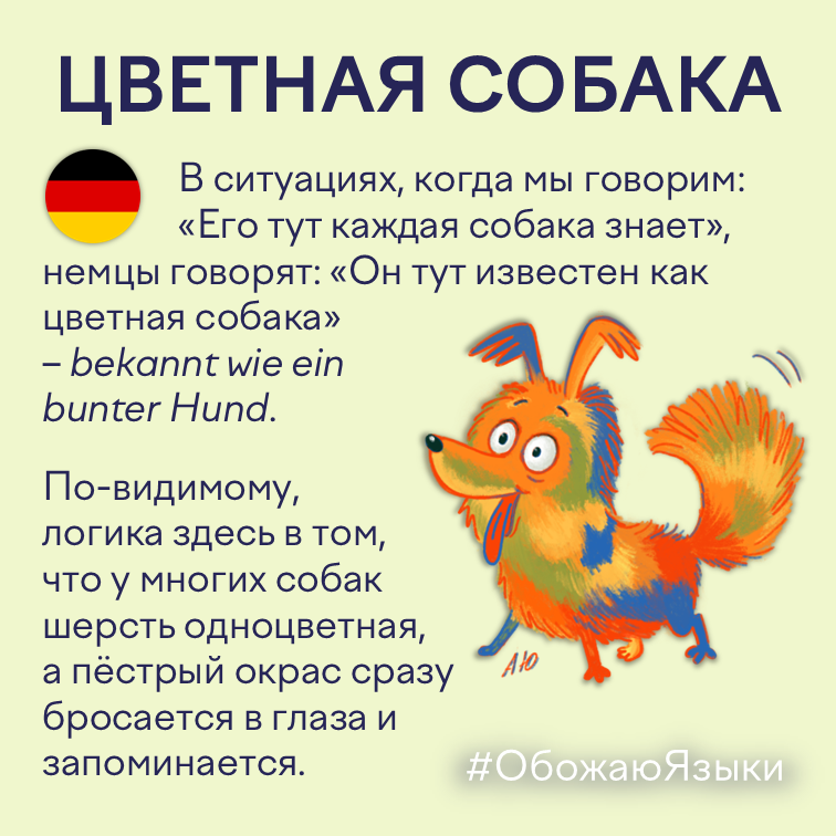 Цветная собака — немецкая идиома bekannt wie ein bunter Hund о человеке, которого все знают