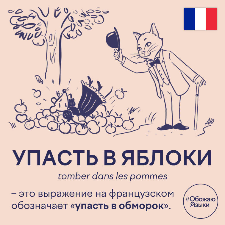 Упасть в яблоки — французская идиома tomber dans les pommes означает «упасть в обморок»