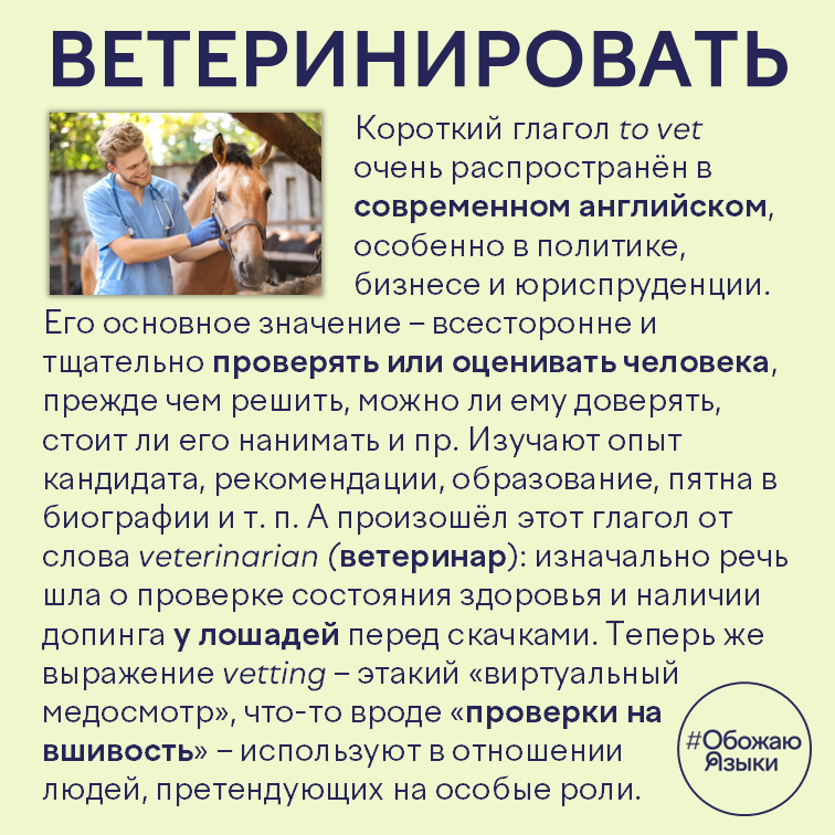 Ветеринировать — происхождение английского глагола to vet