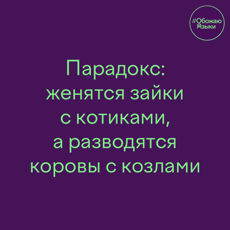 Зайки с котиками – языковой парадокс про женитьбу и развод