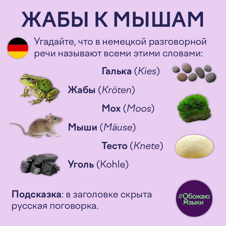 Жабы к мышам – угадайте немецкое разговорное слово, скрытое за Kies, Kröten, Moos, Mäuse, Knete и Kohle