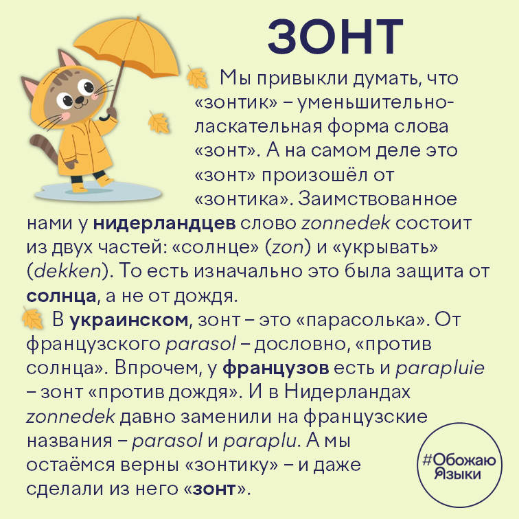 Зонт – этимология слова от нидерландского zonnedek, украинская «парасолька» и французский parasol